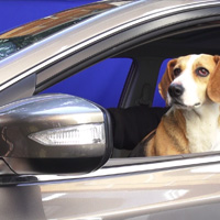 Edición de video con After Effects